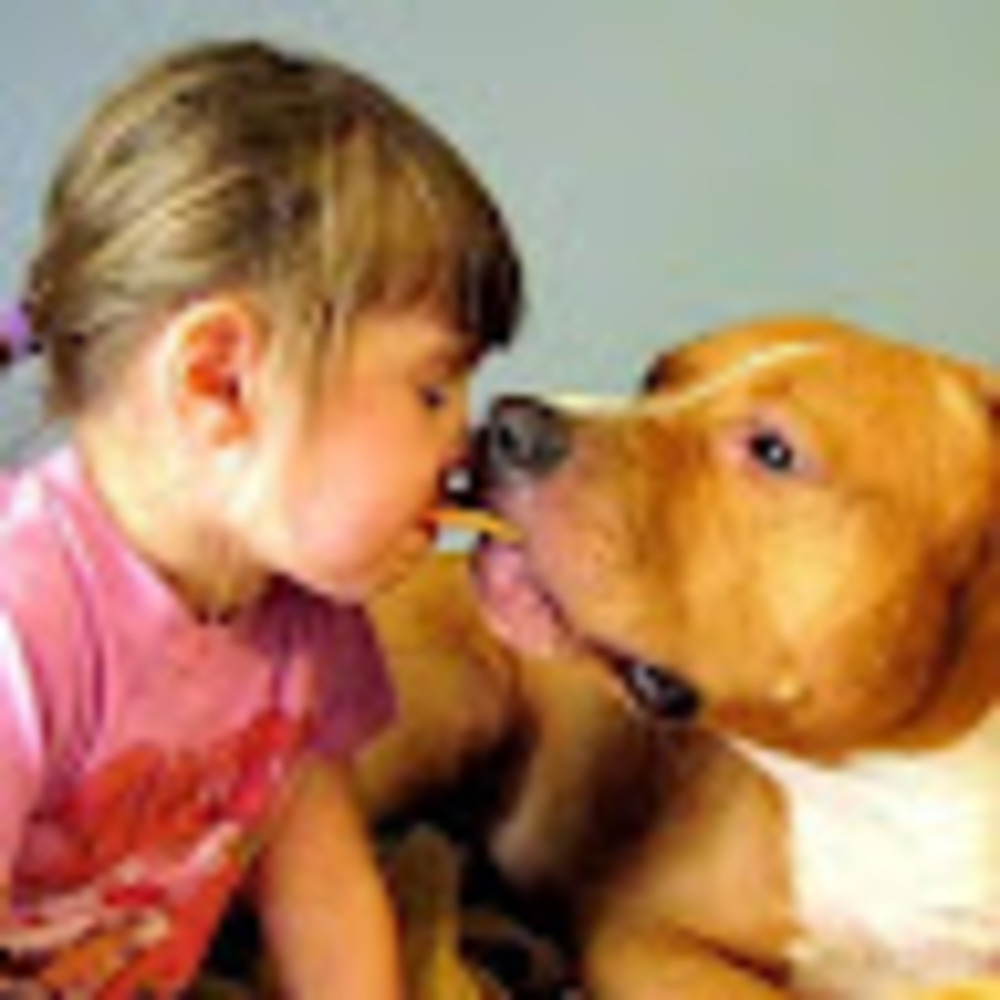 Meet your Posher, Jill